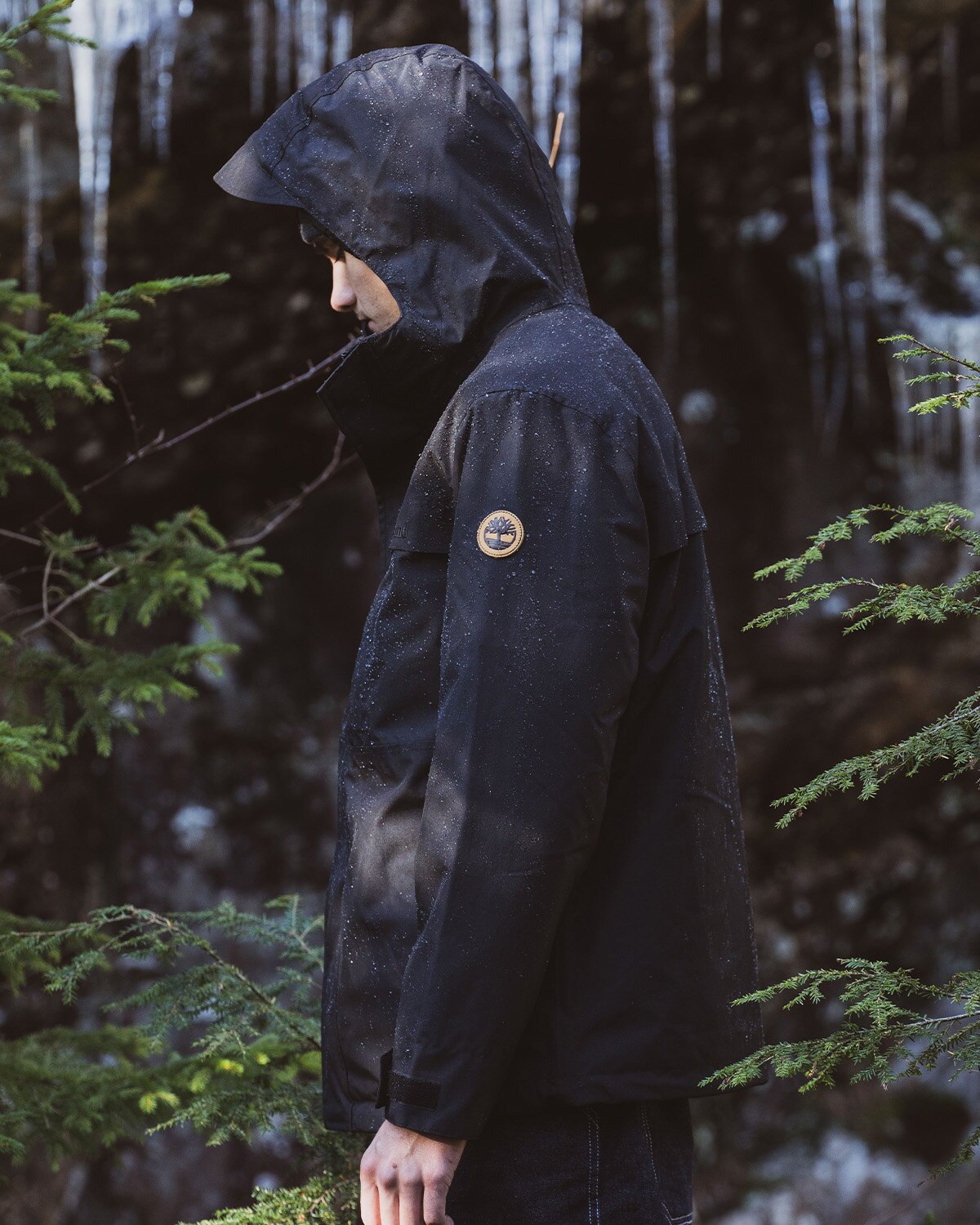 Image of a man standing in a forest wearing a black Timberland jacket with the hood on.